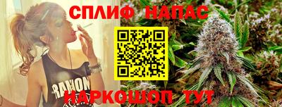 гидропоника Кингисепп
