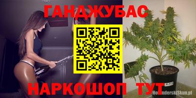 гидропоника Кингисепп