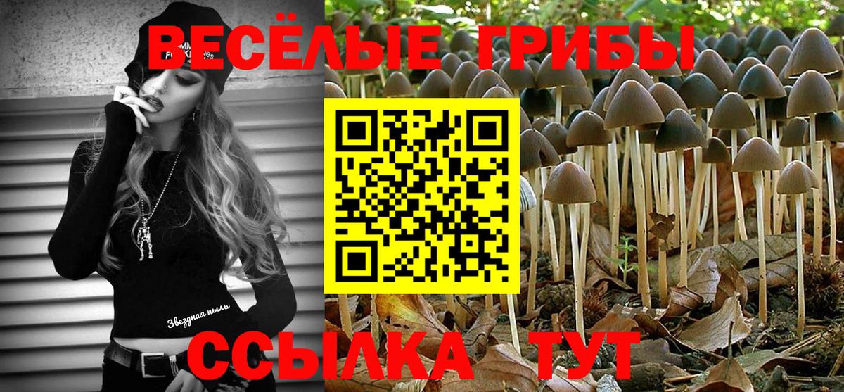 Коркино  Псилоцибиновые грибы Psilocybine cubensis  Вход с VPN 